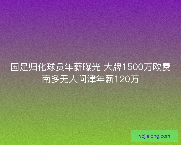 国足归化球员年薪曝光 大牌1500万欧费南多无人问津年薪120万