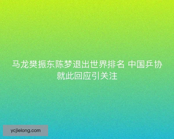 马龙樊振东陈梦退出世界排名 中国乒协就此回应引关注