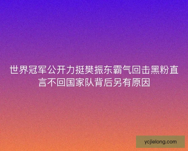 世界冠军公开力挺樊振东霸气回击黑粉直言不回国家队背后另有原因