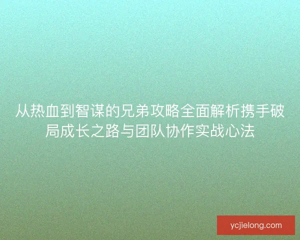 从热血到智谋的兄弟攻略全面解析携手破局成长之路与团队协作实战心法